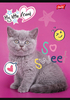MAJ ZESZYT A5 32K KRATKA LAMINOWANY MY LITTLE FRIEND 668296