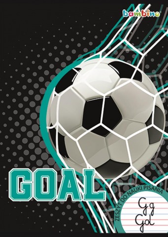 MAJ ZESZYT DO NAUKI PISANIA A4 32K LINIA PODWÓJNA KOLOROWA LAMINOWANY B 663550