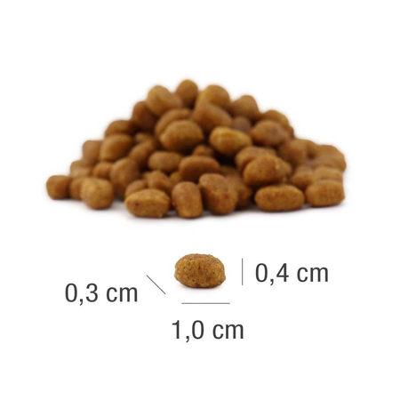 PLATINUM MeatCrisp Kitten Chicken 400g