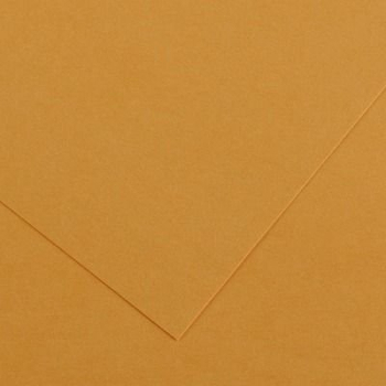 KARTON 41031 COLORLINE 1ARK BURSZTYN