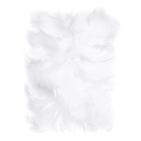 PIÓRKA 5-12CM 10G WHITE CEPI-012