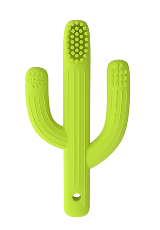 GILIGUMS SZCZOTECZKA KAKTUS GG58343