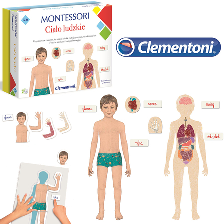 CLEMENTONI MONTESSORI CIAŁO LUDZKIE ZB112019