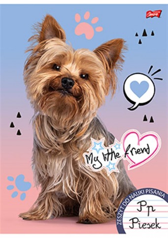 MAJ ZESZYT A4 32K LINIA PODWÓJNA DWUKOLOROWA LAMINOWANY M 668319