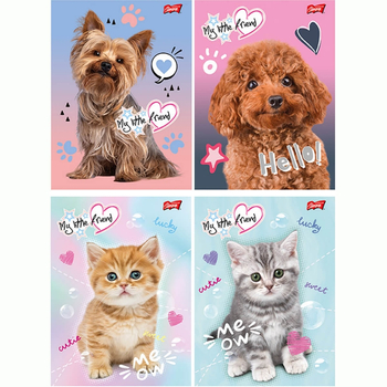 MAJ ZESZYT A5 16K LINIA PODWÓJNA DWUKOLOROWA LAMINOWANA MY LITTLE FRIEND 668272