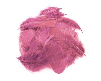 PAULA PIÓRKA 26M003 DEKORACYJNE