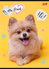 MAJ24 ZESZYT A4 32K KRATKA LAM. MY LITTLE FRIEND 668302