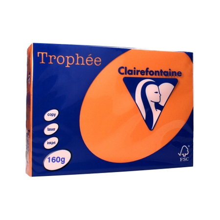 PAP.KSERO A4 160G TROPHEE 1011 MORELOWY