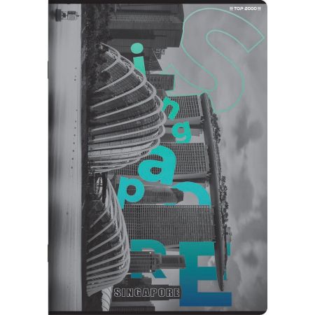 TOP ZESZYT CITY A5 60K 70G KRATKA 400169489