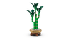 LEGO 10344 BOTANICALS Dracena sandera