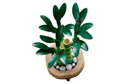 LEGO 10344 BOTANICALS Dracena sandera
