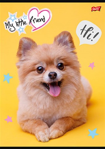 MAJ24 ZESZYT A4 32K KRATKA LAM. MY LITTLE FRIEND 668302