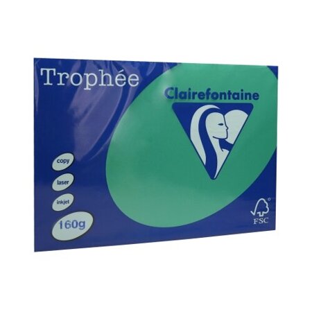 PAP.KSERO A4 160G TROPHEE 1019 ZIELEŃ CHOINKOWA